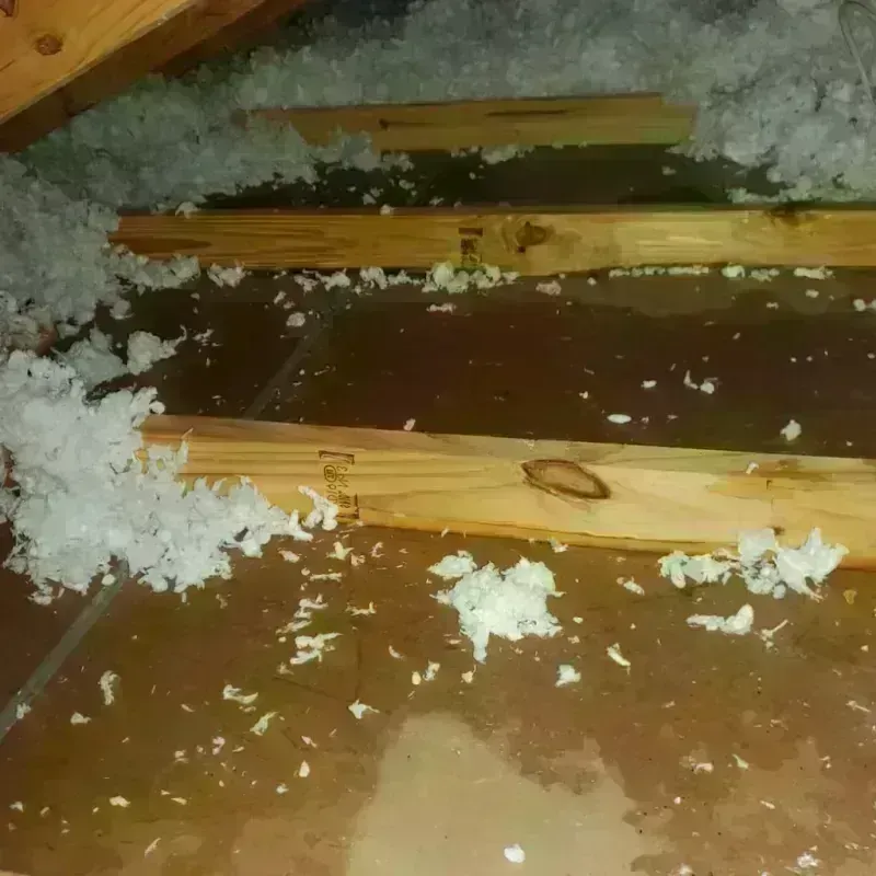 Attic Water Damage in Valley Station, KY